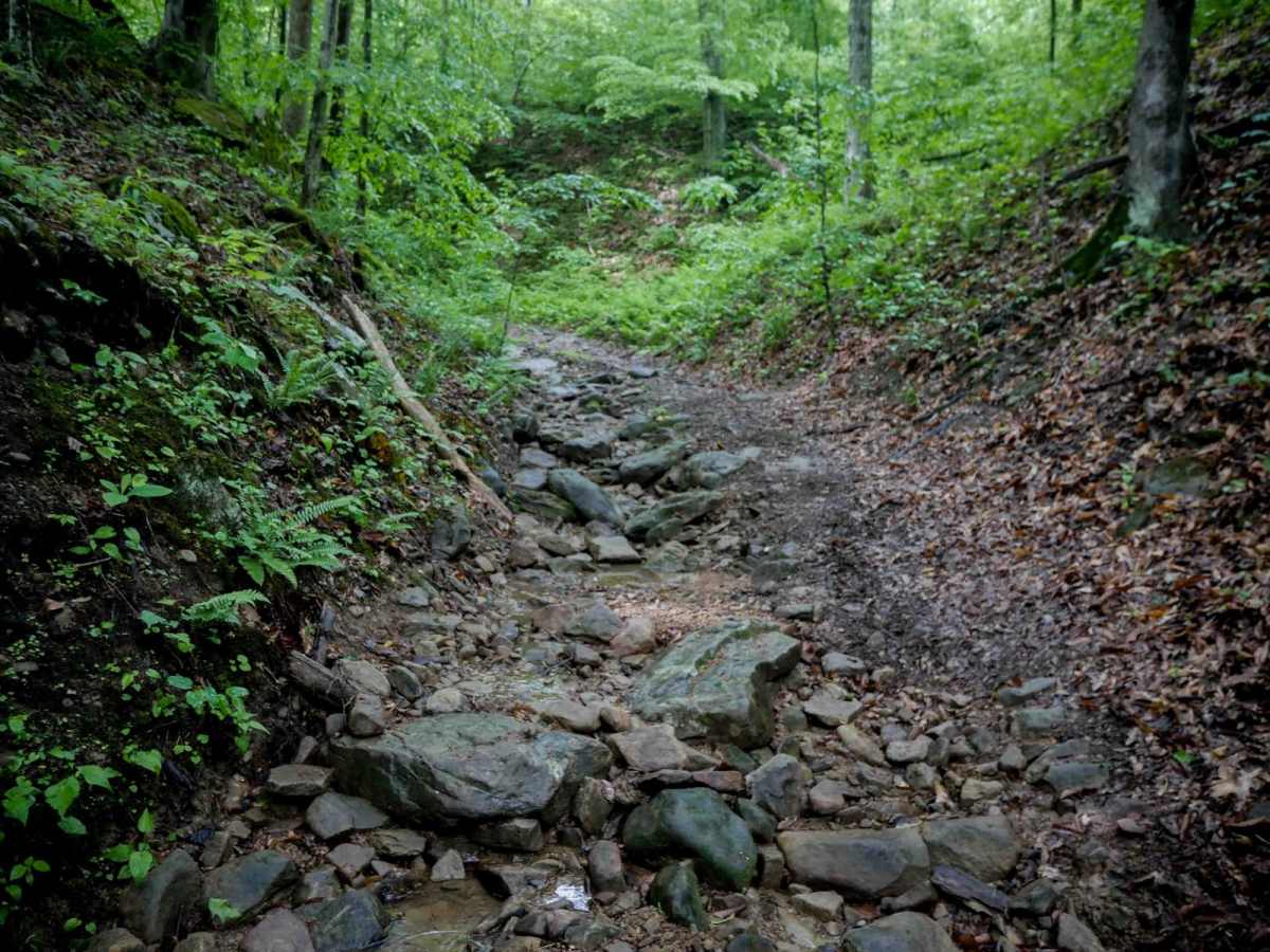 B45 trail photo