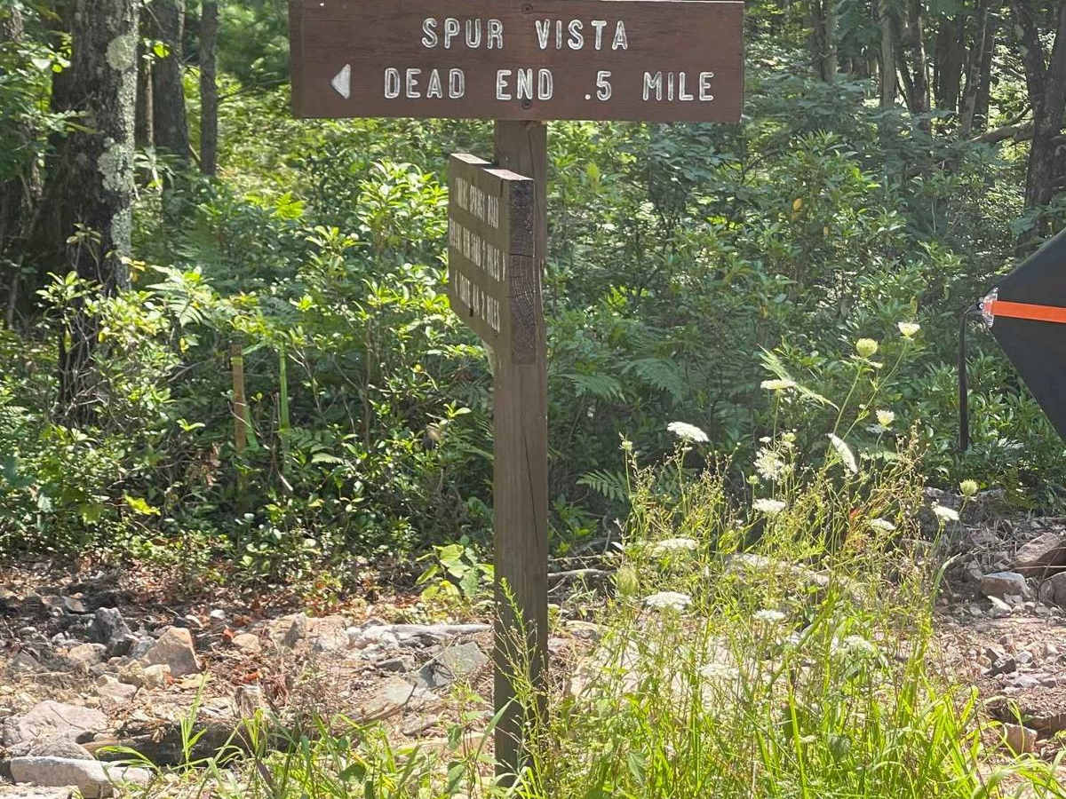 Sinking Springs Spur trail photo