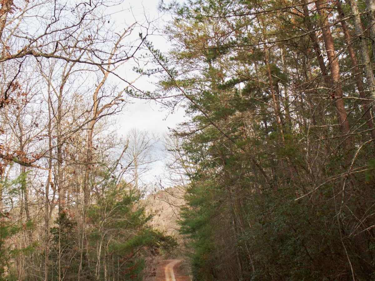 Chattooga River - FSR 769 photo 3