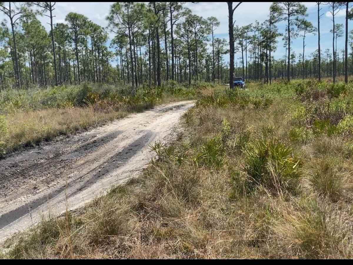 Babcock-Webb Yucca Pens Unit Road 5 photo 3