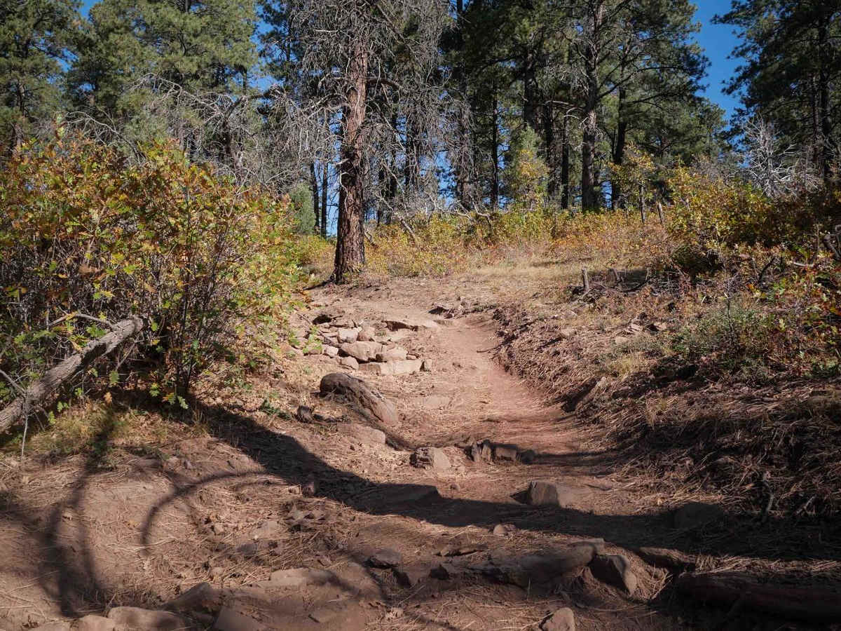 Jones Creek photo 3