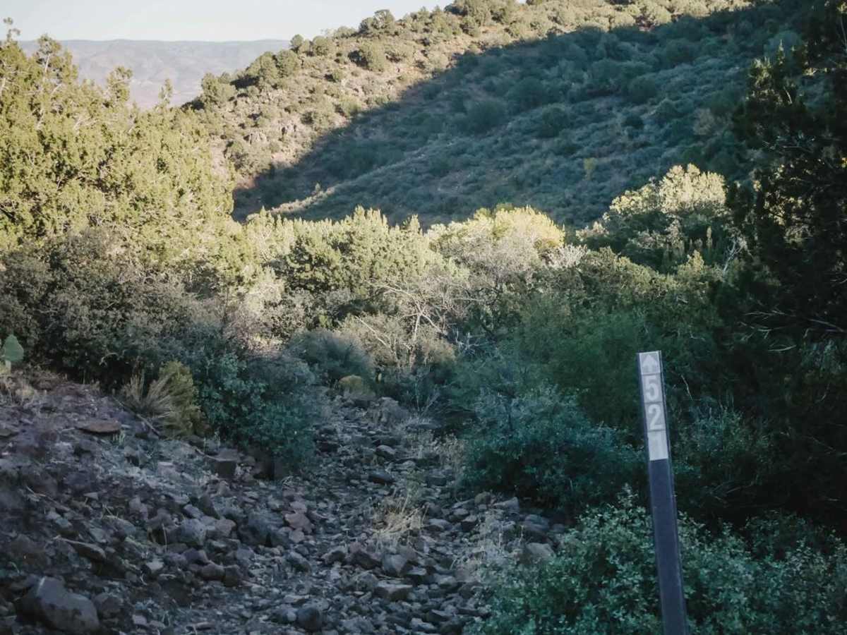 Ryal Canyon #521 photo 5