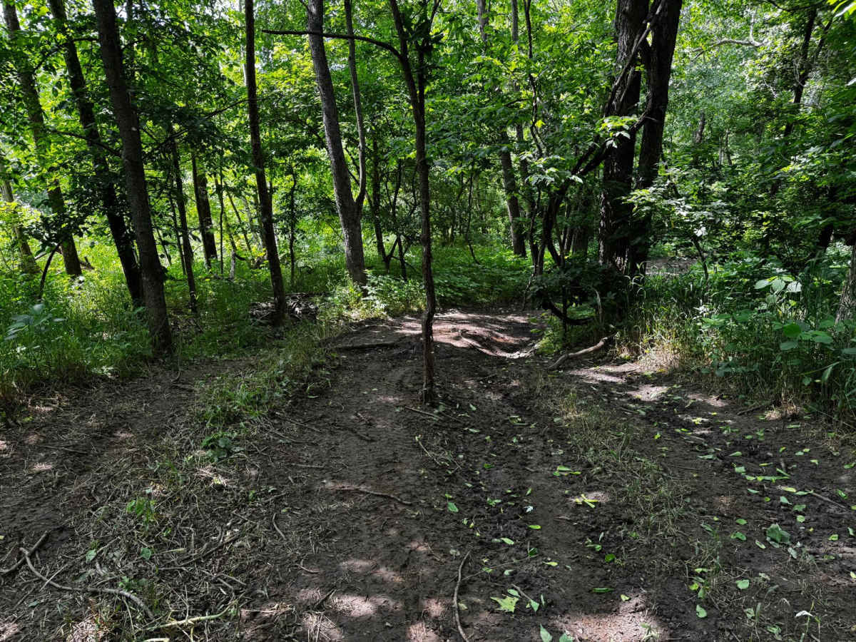 Green 74 photo 3