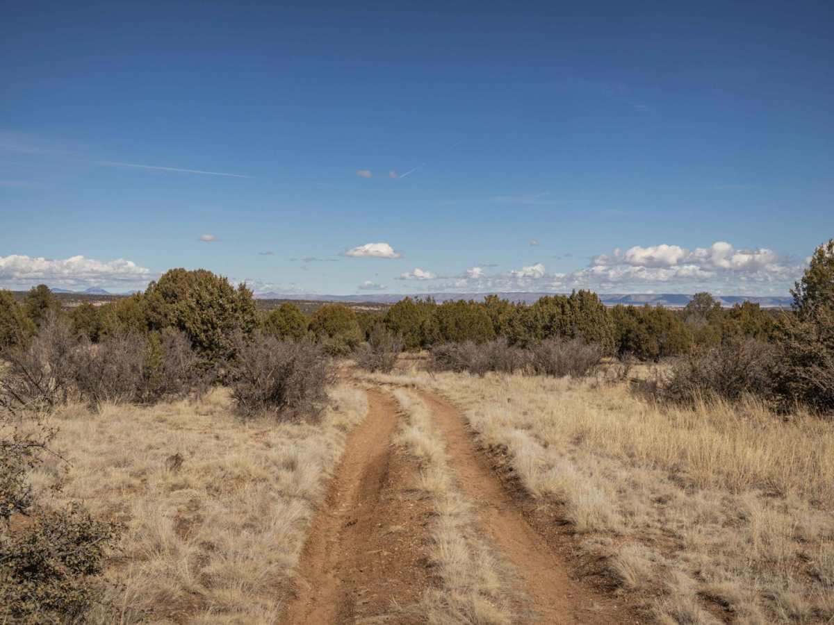 Javelina Flow trail photo