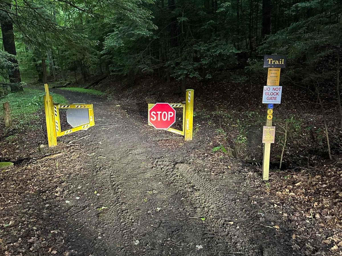 Back Road to Rattlesnake photo 5