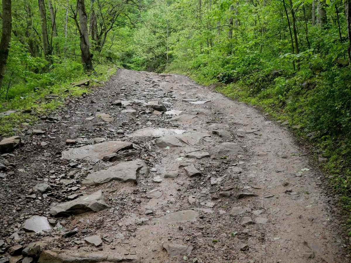 RH 19 trail photo