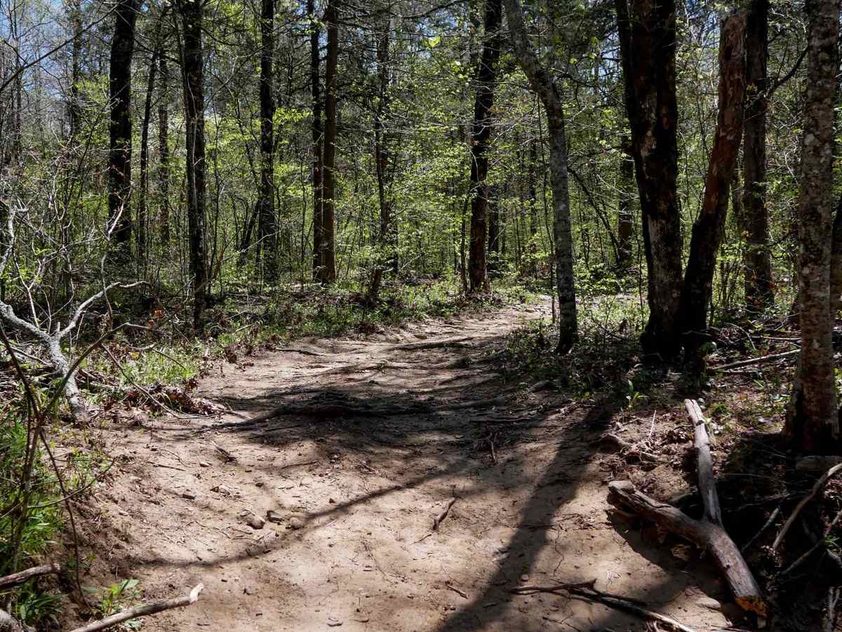 Brock 44 trail photo