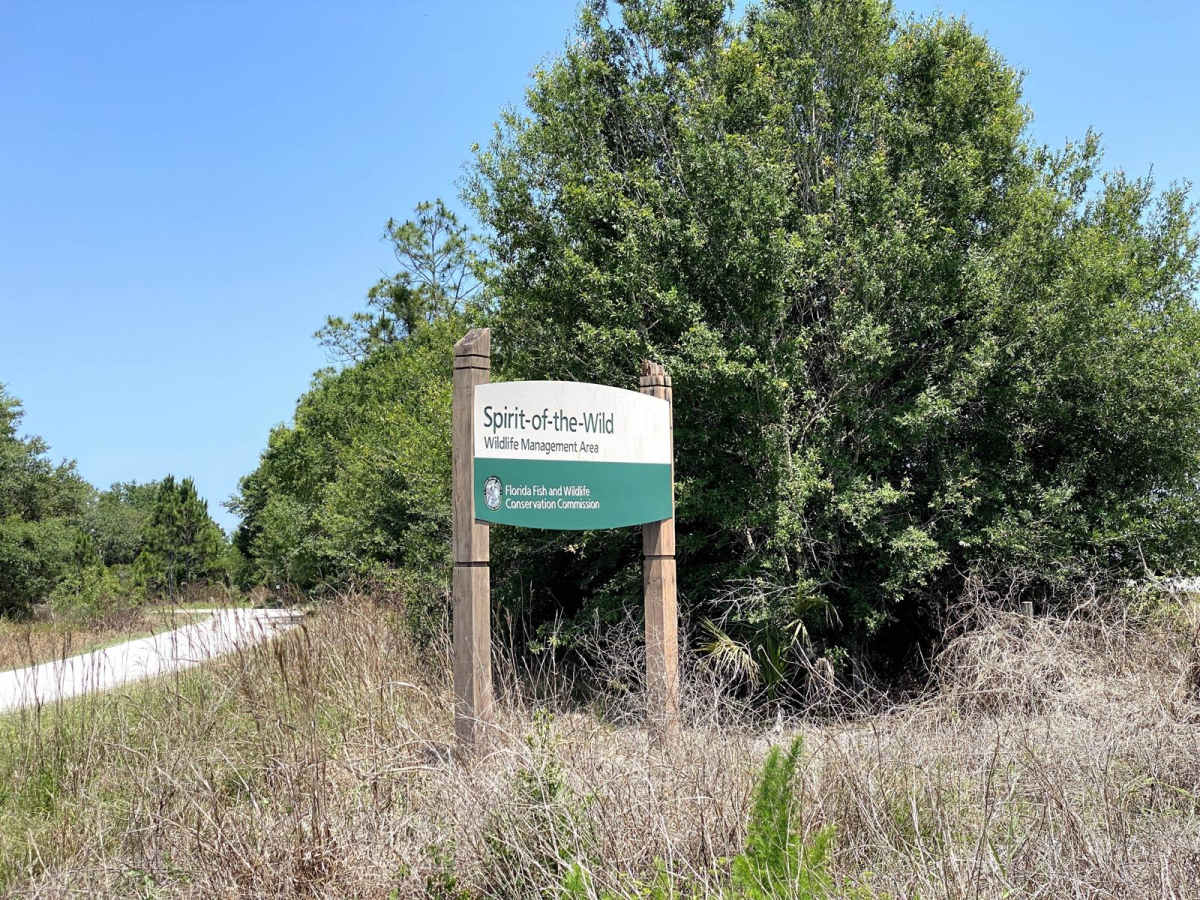 Ingram-Smith Trail trail photo