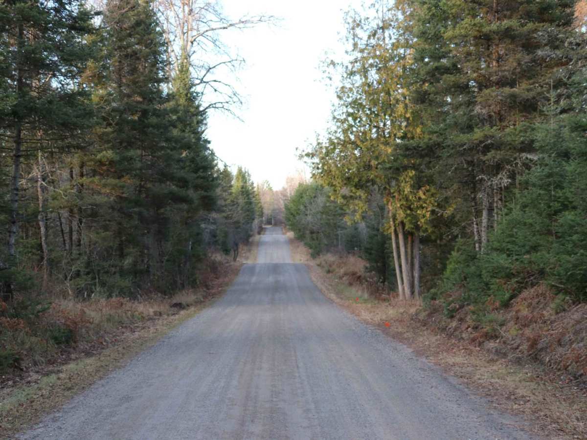 Long Lake Road - FS 2168 photo 5