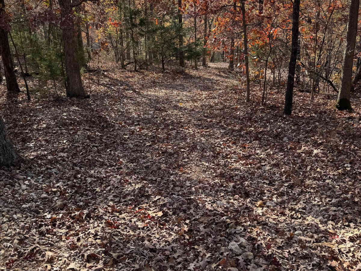 Green 196 trail photo