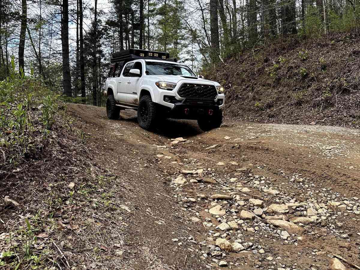 Chattahoochee River Road photo 5