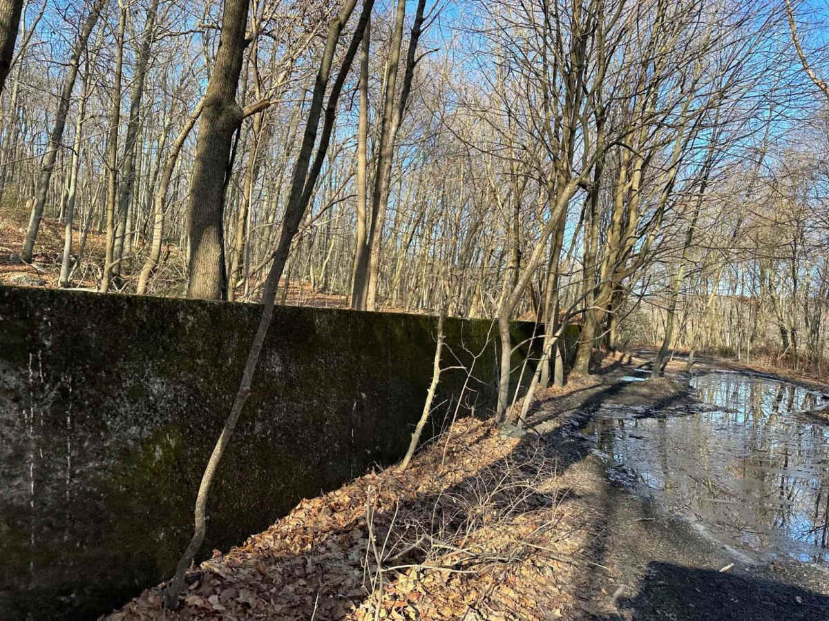Locust Gap Highway photo 2