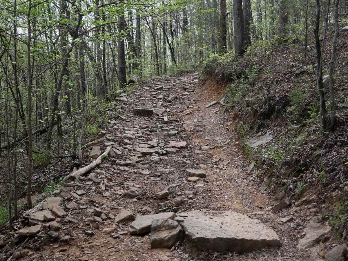 High Mountain Loop (South) photo 5