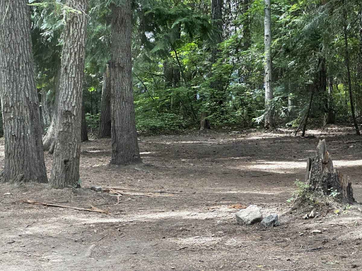 Deer Camp Trail trail photo