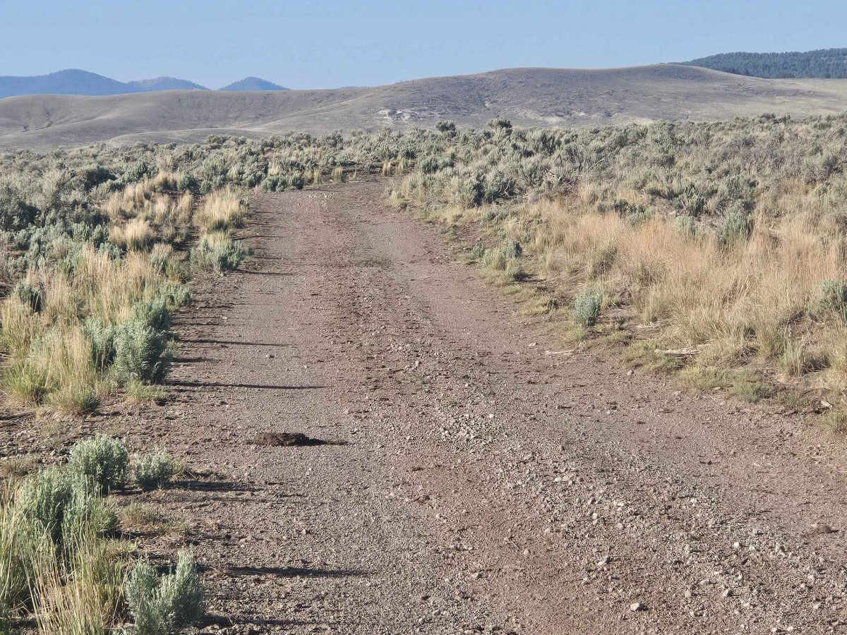 Prospector Trail photo 3