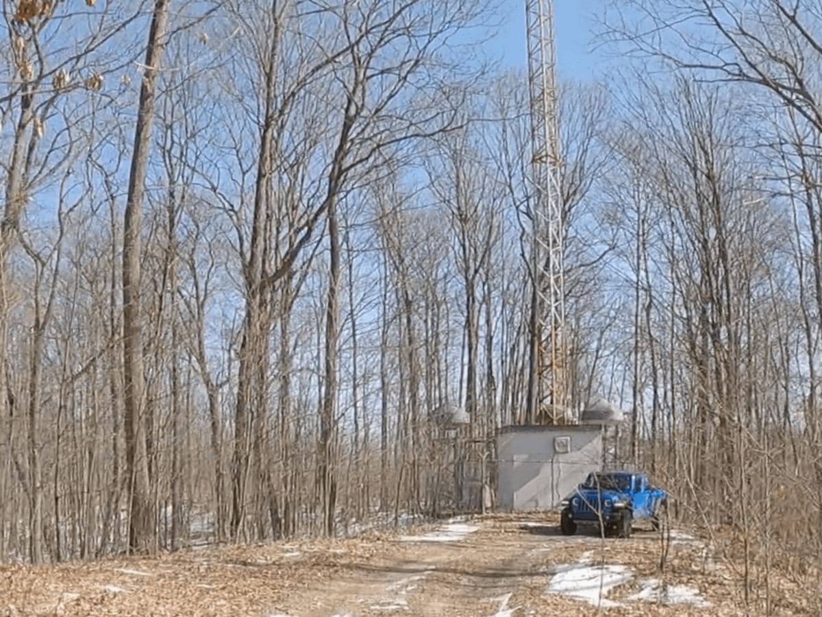 Portage Lake Fire Tower Trail photo 4