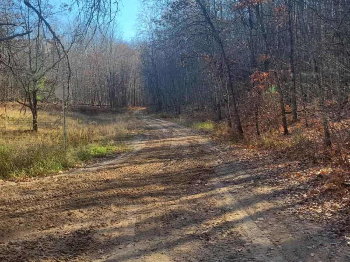 Trail 5578 photo 4
