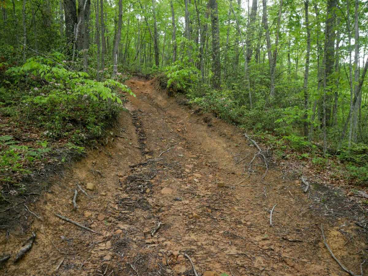 OP 41 trail photo