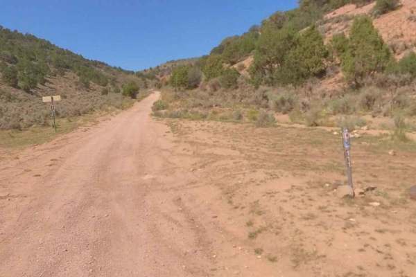 Watts Mountain Road- FS 40111