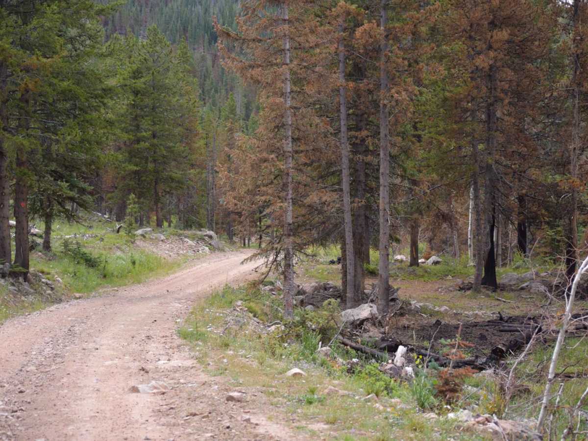 Iron Mine Road 80414 photo 2