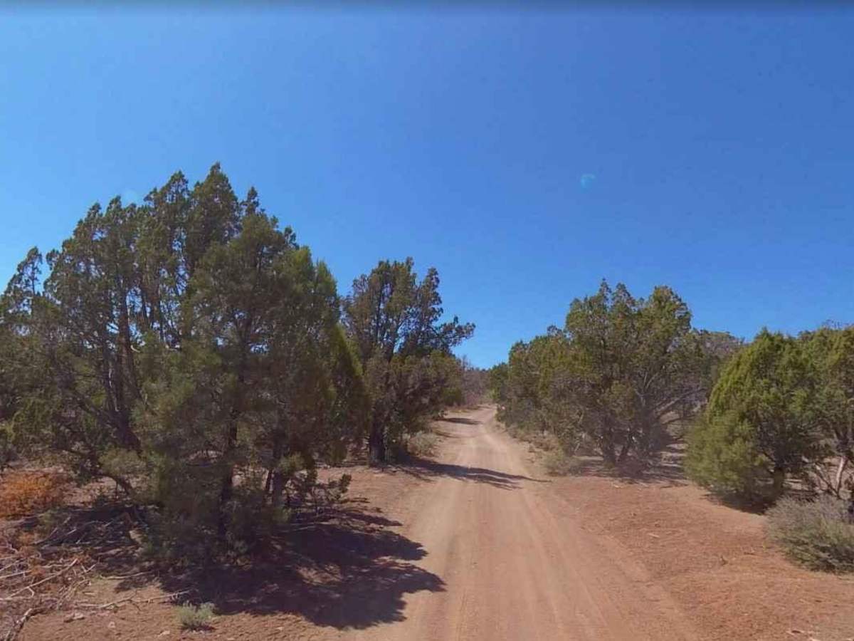 Burnt Canyon-FR30004 photo 3
