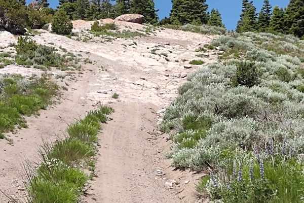 Gold Gulch Loop (FS# 41082)