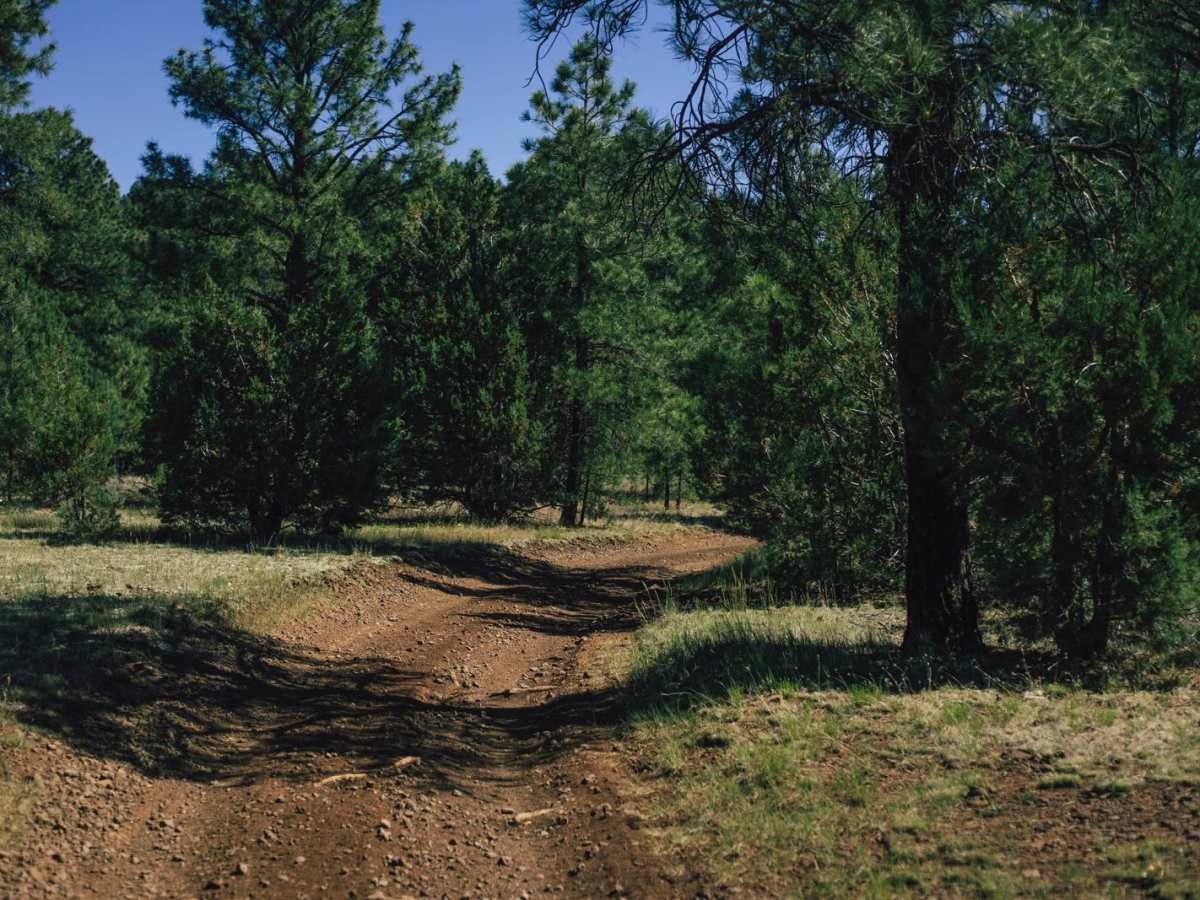 Old 72 Road photo 5