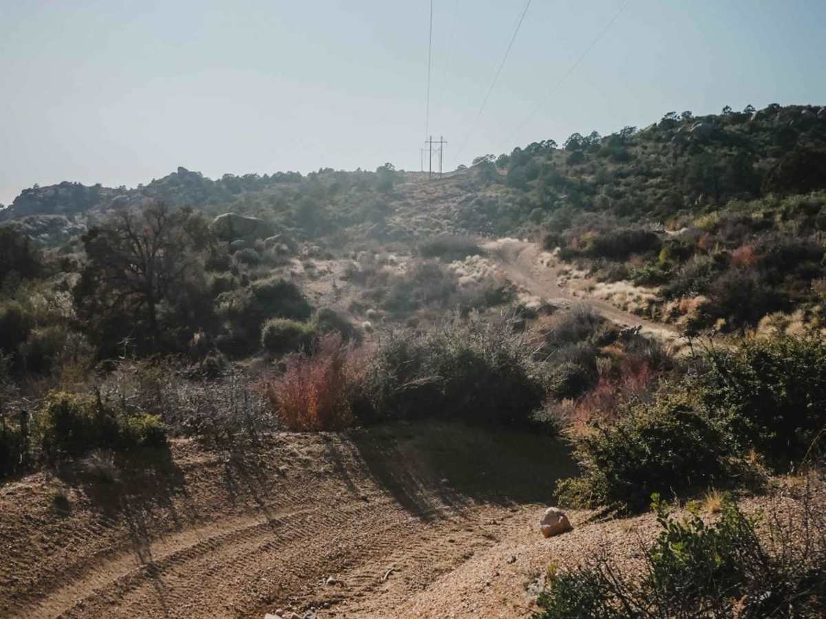 Trail 9 photo 3