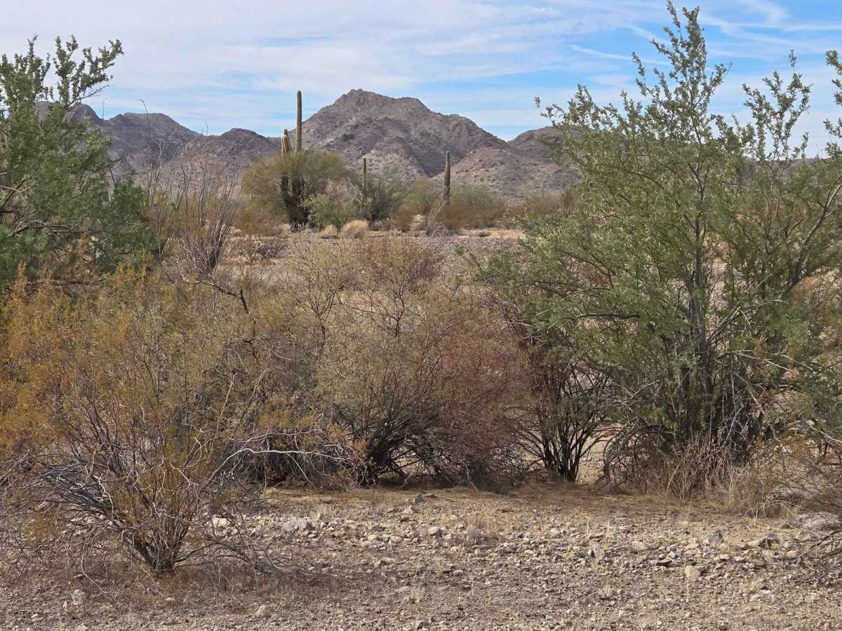 Pipeline to I-10 photo 3