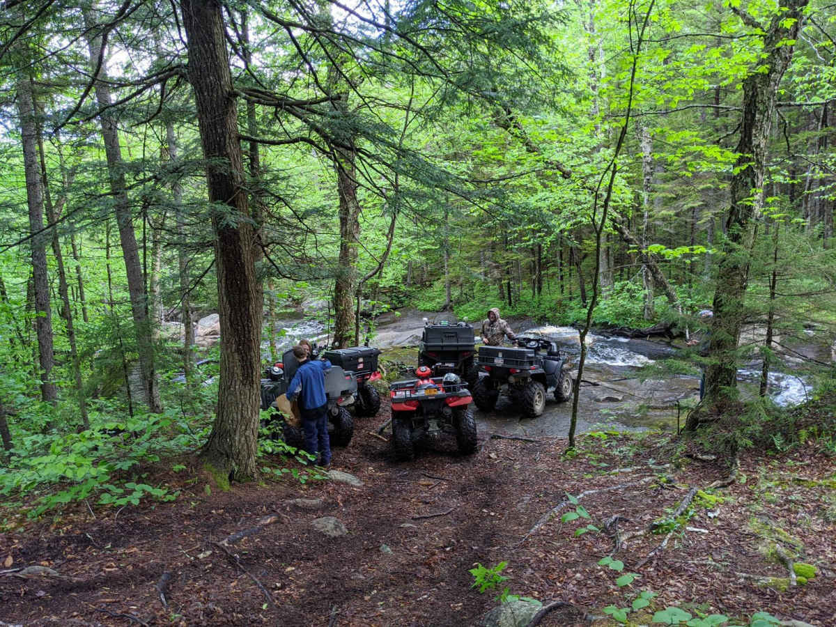 Long Pond Easement - Baldface Mountain Trail photo 4