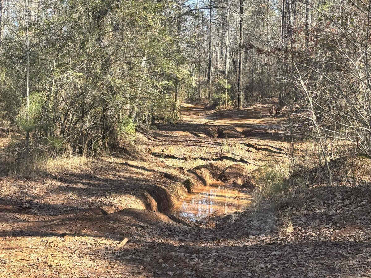 Creek Trail photo 2