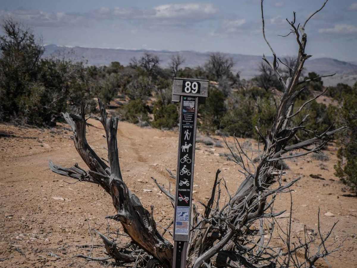 BLM Route 89 trail photo