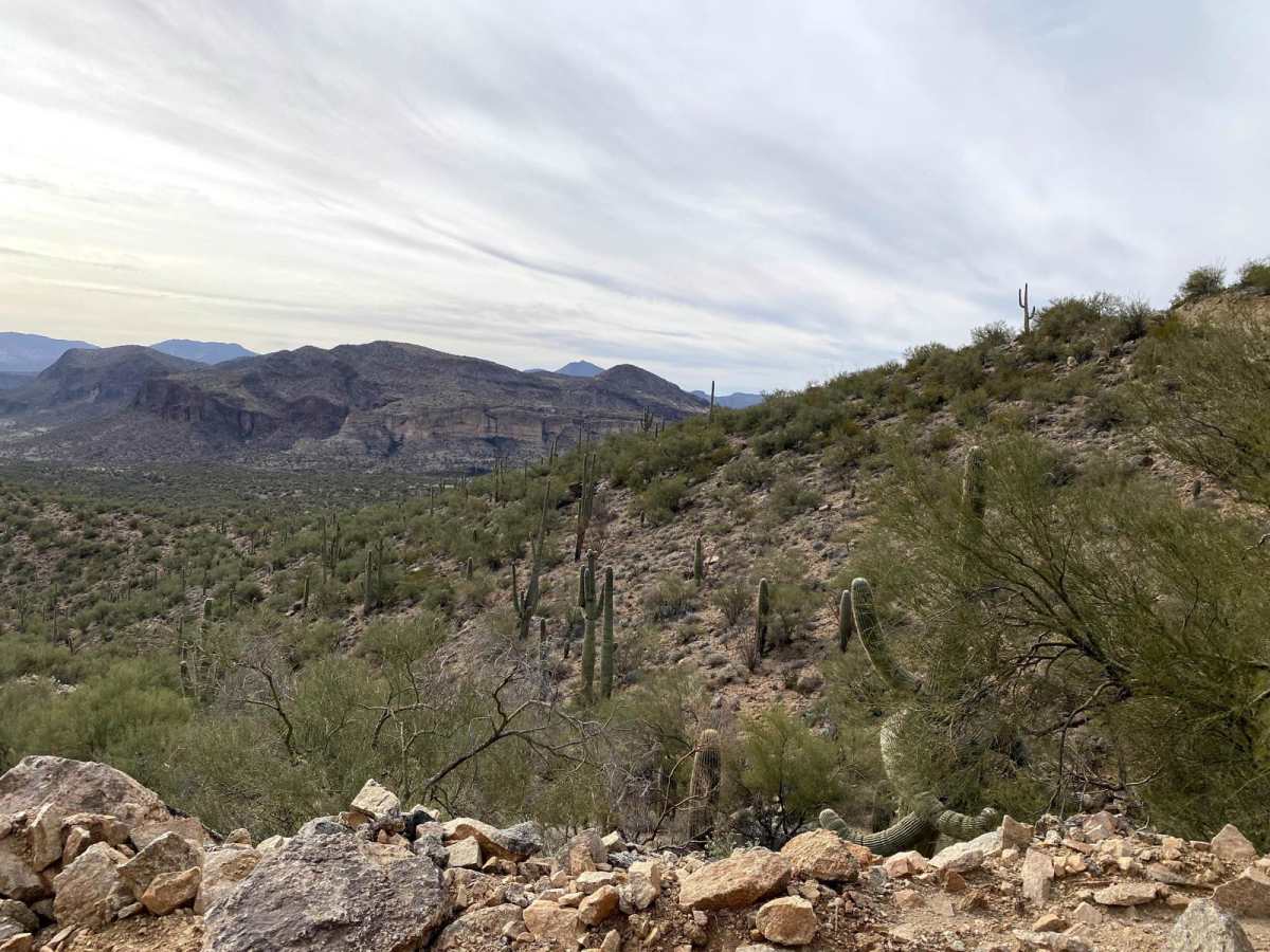 Powerline Loop Trail photo 5