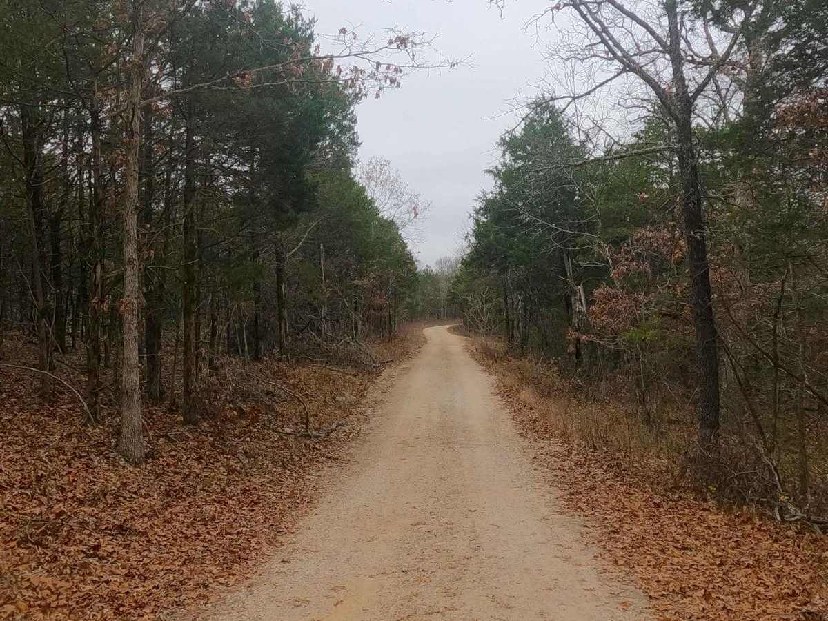 Fort Bald - FS 612 photo 4