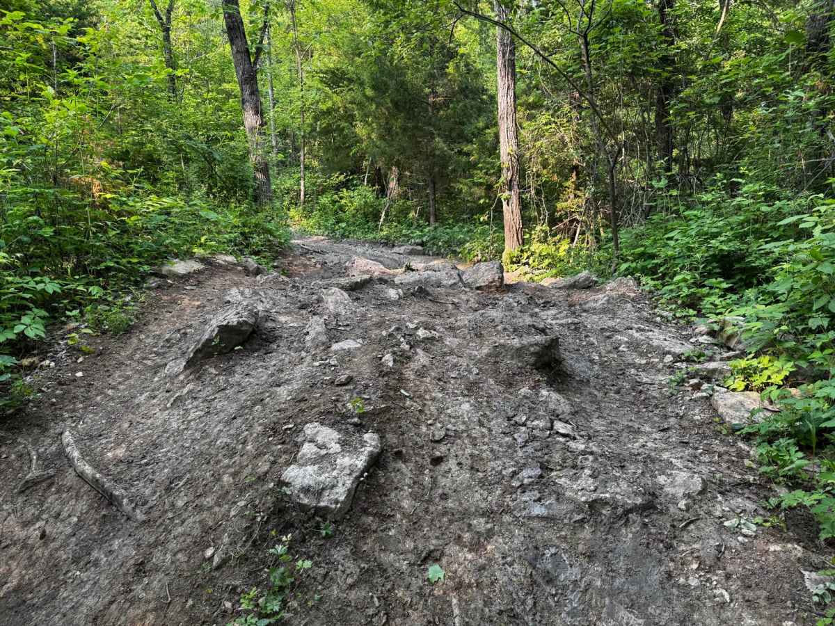 Memphis' Hill 87 photo 6