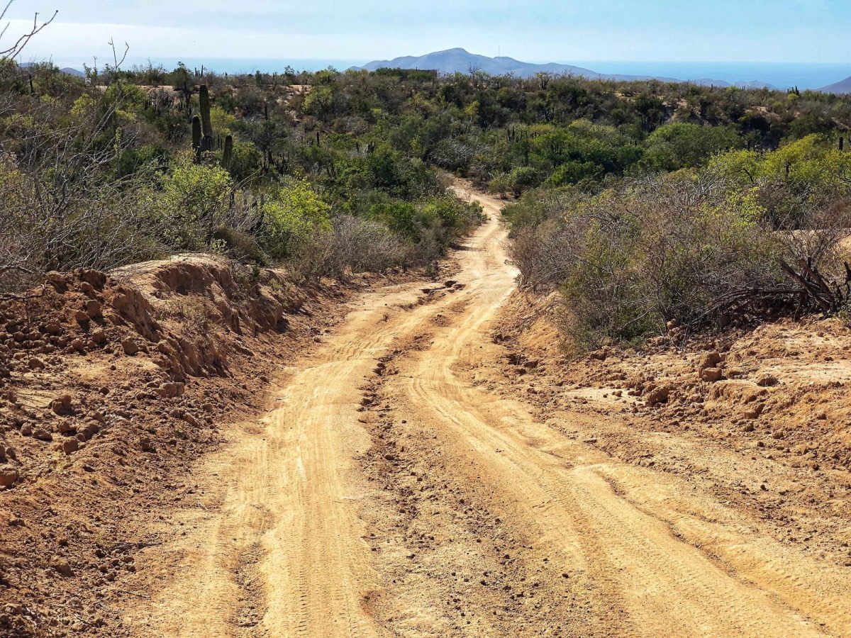 El Refugio photo 3
