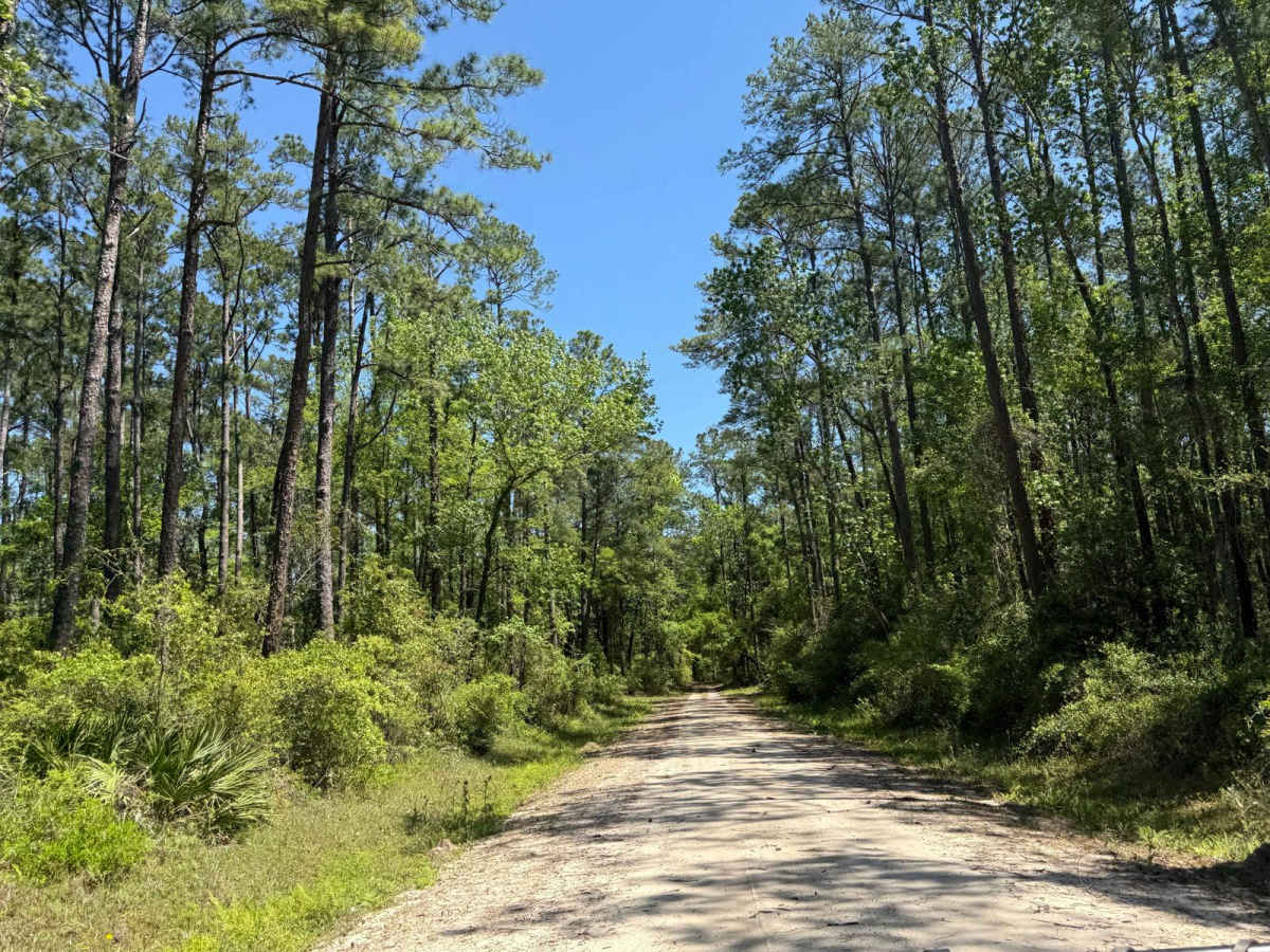 Hitchcock Lake photo 6