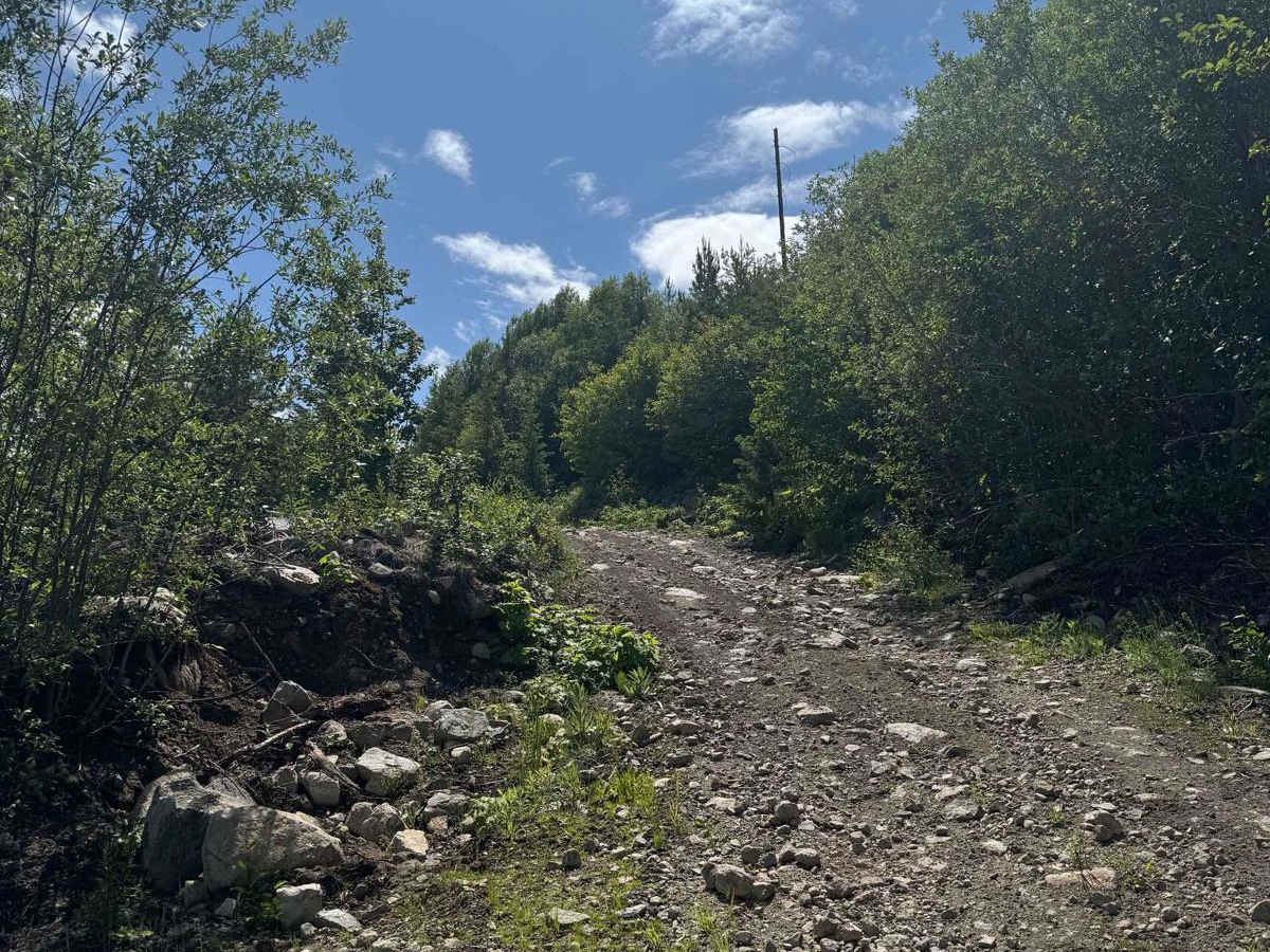 Rad Powerline Trail photo 2