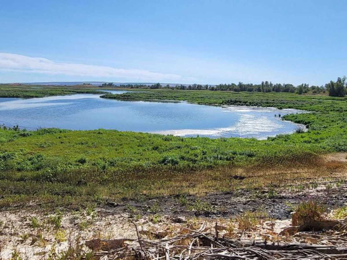 Bird Reserve trail photo