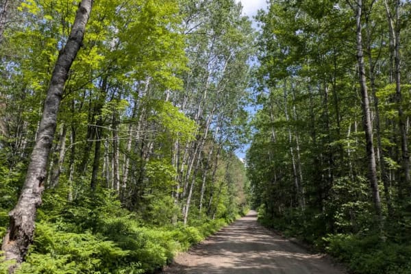 West Spider Lake Drive