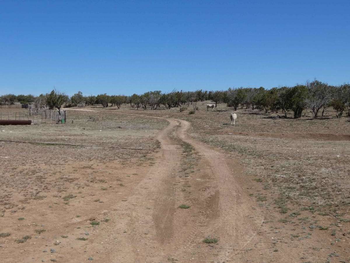 Storage trail photo