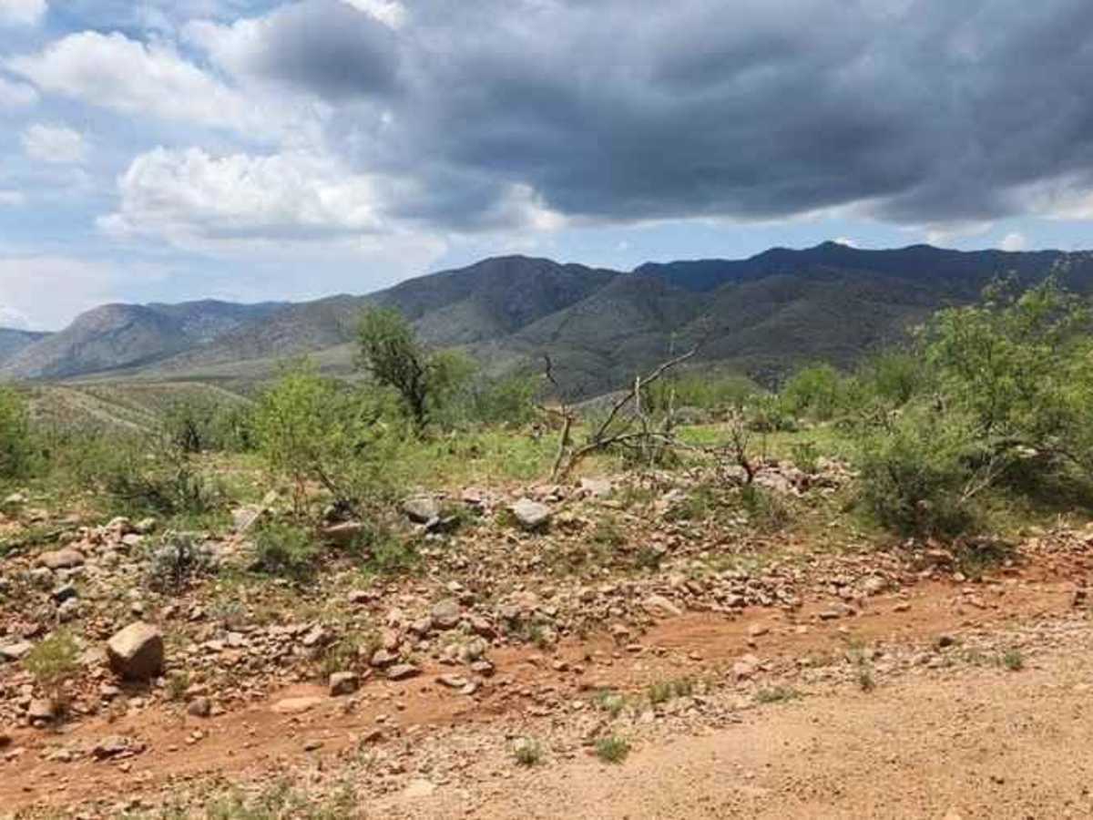 North San Perdo River Road trail photo