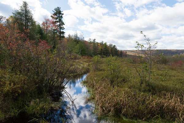 Bear Meadows Road