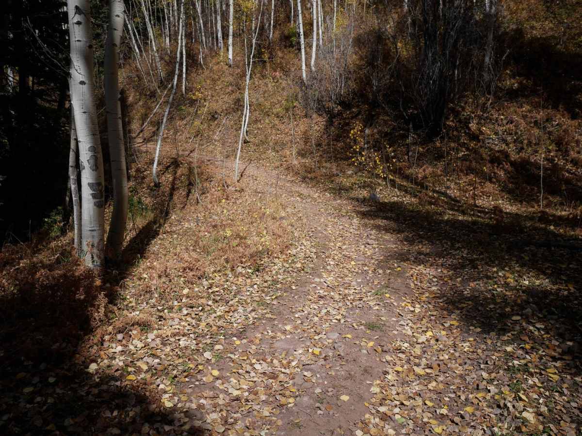 Stealey Mountain Spur ATV photo 6
