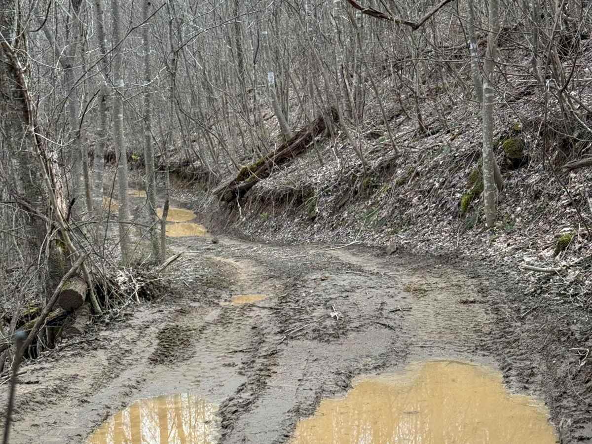 Trail 18 photo 5