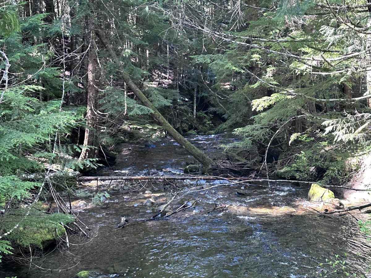Evans Creek Campground/Trailhead photo 6