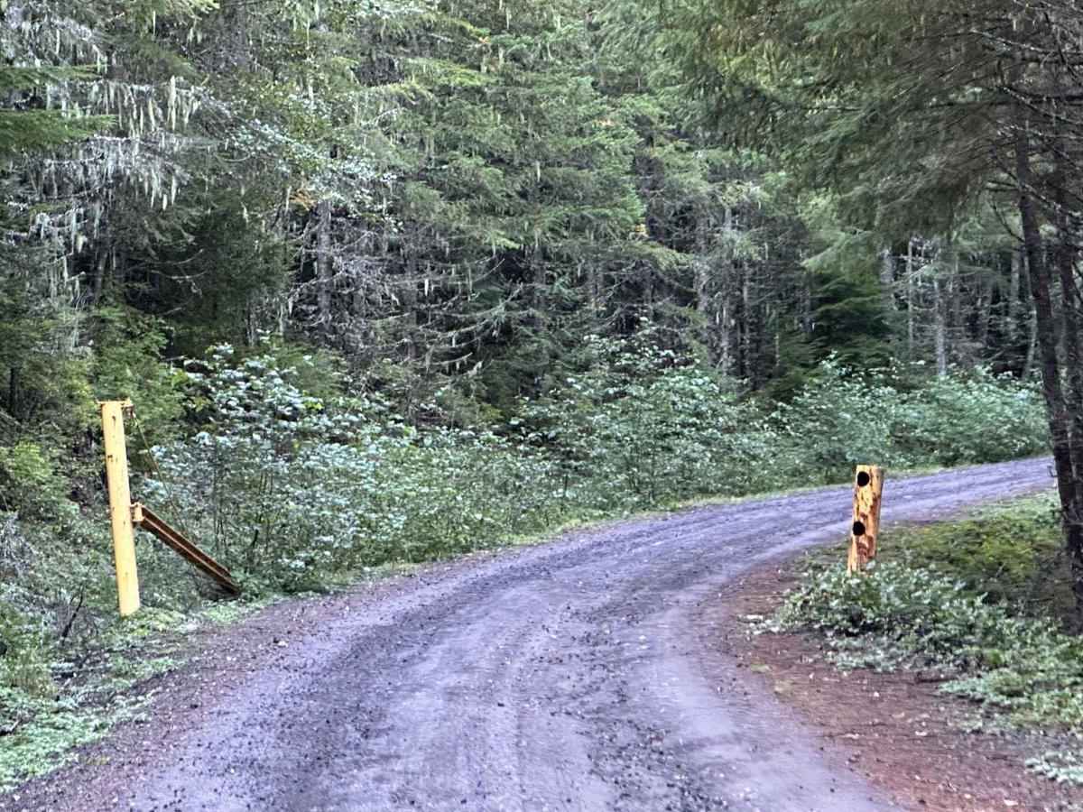 Forest Lake Rd 7222 photo 4