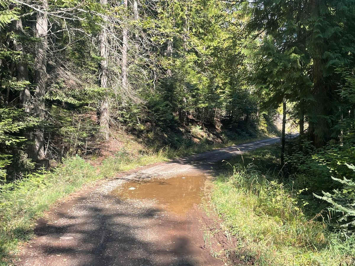 Mineral Point - 532 photo 5