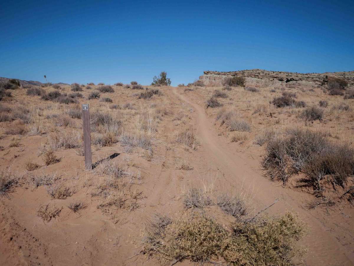 Summerville Singletrack photo 5