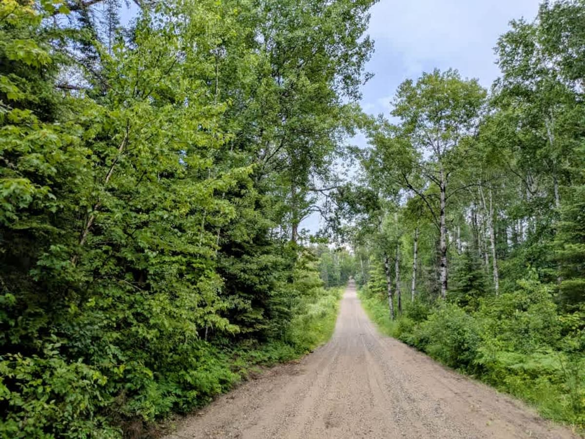 Heino Road trail photo